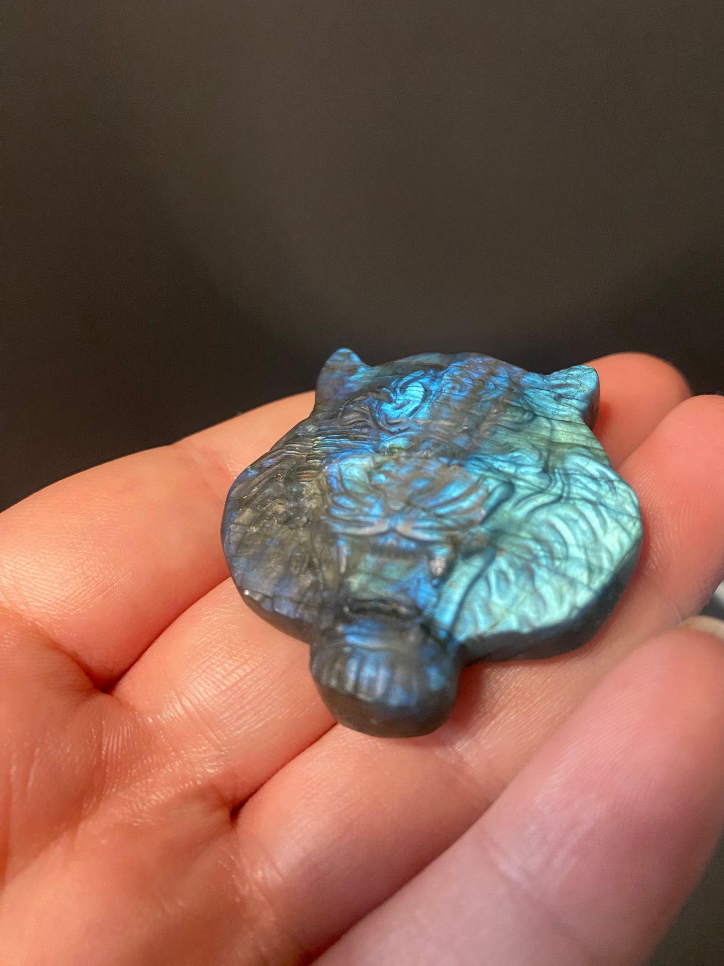 LABRADORITE FLASHY TIGERS HEAD CARVING