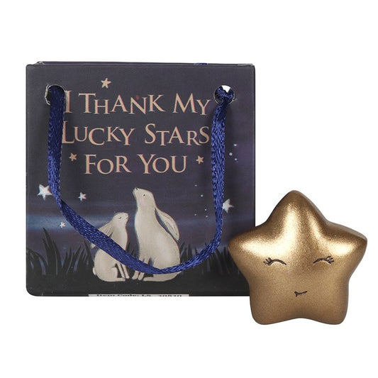 GOLD LUCKY STAR IN A BAG